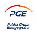 Najniższa cena prądu od PGE dla klientów Energii Dla Firm - zdjęcie 1