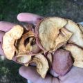 Jabłko plastry chips suszone karma dla zwierząt
