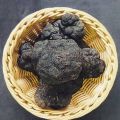 Świeże grzyby Trufla Czarna Włochy 1 kg - zdjęcie 1