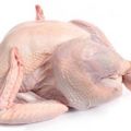 Tuszki kurczaka - wielkość 1,1-1,2 kg - zdjęcie 1