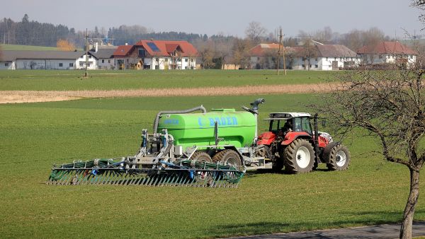 Nawożenie gleby nawozami zakwaszającymi glebę ma kluczowe znaczenie dla wielu roślin