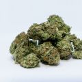 Co to jest CBD i dlaczego warto nim handlować?