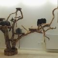 Drapaki ekologiczne drzewa dla kotów - zdjęcie 2