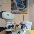 Mikroskop stereoskopowy do 120x