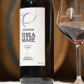 Producent wina Primitivo i Negroamaro poszukuje importera w Polsce