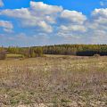 Kikity 46km od Olsztyna - grunt przy lesie z widokiem na jezioro.Tanio - zdjęcie 3