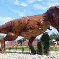 Sprzedam park rozrywki i dinozaurów - zdjęcie 1