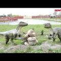 Sprzedam park rozrywki i dinozaurów - zdjęcie 2