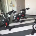 Mam do zaoferowania sprzęt fitnesowy z firmy HES - zdjęcie 2