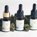 Produkty Konopne CBD współpraca - zdjęcie 2