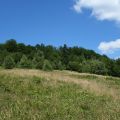 Brenna 2,53 ha z prawem zabudowy blisko wyciągu orczykowego - zdjęcie 4