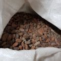 Świeże ziarno kakao z Ameryki Południowej - zdjęcie 2