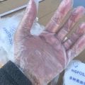 Rękawiczki foliowe  w woreczku - CE, importer nie pośrednik - zdjęcie 2