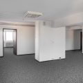 Wynajmę, ok 170 m2, 0% prowizji - zdjęcie 2