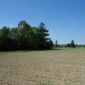 Skoczów pruchna 1,15ha z prawem zabudowy także pod produkcje spożywczą - zdjęcie 2
