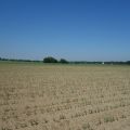 Skoczów pruchna 1,15ha z prawem zabudowy także pod produkcje spożywczą - zdjęcie 4