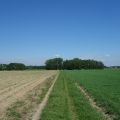 Skoczów pruchna 1,15ha z prawem zabudowy także pod produkcje spożywczą - zdjęcie 3