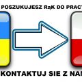 Nawiążę Współpracę Z Agencjami Pracy oraz Pracodawcami z Polski
