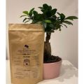 Kawa ziarnista M.Coffee M-Crema 1KG - zdjęcie 1