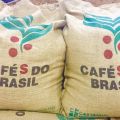Kawa zielona swieża Brasil Santos FC NY2 Golden Quality 17 / 18 - zdjęcie 1