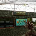 Sanktuarium Motyli w Puerto Vallarta - Meksyk - na sprzedaż - zdjęcie 3