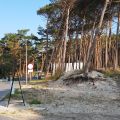 Działki usługowe bezpośrednie zejście na plaże Mrzezyno 1 - zdjęcie 2