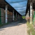 Fryzy, szczeblinki, trzonki do narzędzi itd. - zdjęcie 3