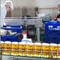 Zlecę produkcję kiszonek lub podnajmę zakład na godziny