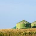 Poszukiwane surowce do produkcji biogazu