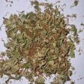 Trym CBD/CBG herbata ekstrakcja pre-rollsy