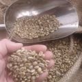 Kawa zielona Bio Djimmah Etiopia - od 19,00 / kg - zdjęcie 2