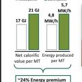 Pellet celulozowy najwyższa wartość energetyczna