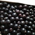 Sprzedam mrożone jagody czarnej porzeczki - zdjęcie 2