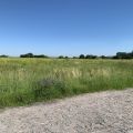 Poszukuje inwestora wspólnika stacja demontażu pojazdów skup złomu - zdjęcie 2