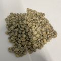 Kawa Arabica surowa do palenia - big-bag - zdjęcie 2