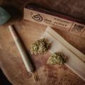 Pre-rolled CBD skręt joint Harlequin - zdjęcie 1