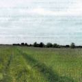 Nieruchomości rolne w Radomsku - zdjęcie 1