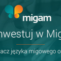 250 akcji spółki Migam - zdjęcie 1