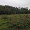 Teren usługowy o pow. 2,4 ha - Chrzanów, Fablok (Wynajem)(
