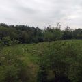 Teren usługowy o pow. 2,4 ha - Chrzanów, Fablok (Wynajem)( - zdjęcie 2