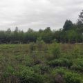 Teren usługowy o pow. 2,4 ha - Chrzanów, Fablok (Wynajem)( - zdjęcie 4