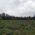 Teren usługowy o pow. 2,4 ha - Chrzanów, Fablok (Wynajem)( - zdjęcie 3