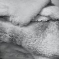 Wyprawa skór owczych - Garbarnia- skóry owcze - zdjęcie 2
