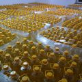 Rafinowany olej rzepakowy 5L (1L - 5,40 zł) - zdjęcie 3