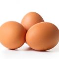 Hurtowa sprzedaż jaj - 1PL, 2PL, 3PL - zdjęcie 1