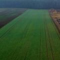 Teren przemysłowy pod pirolize - kompostownie