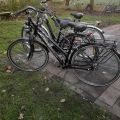 Hurtowa sprzedaż rowerów używanych z Niemiec i Holandii - zdjęcie 2