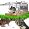 Łapka na myszy żywołapka na kuny łaski norki szczury metalowa klatka - zdjęcie 1