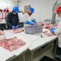 Zakład przetwórstwa mięsnego sprzedam