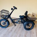 Rower E-Tricycle 3x3